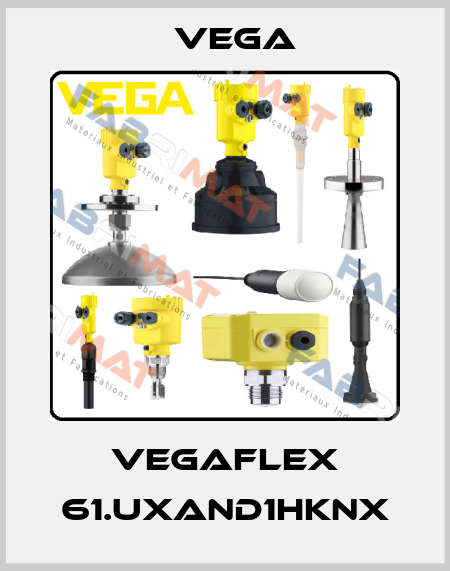 VEGAFLEX 61.UXAND1HKNX Vega