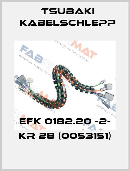 EFK 0182.20 -2- KR 28 (0053151) Tsubaki Kabelschlepp
