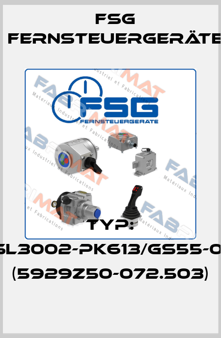 Typ: SL3002-PK613/GS55-01 (5929Z50-072.503) FSG Fernsteuergeräte