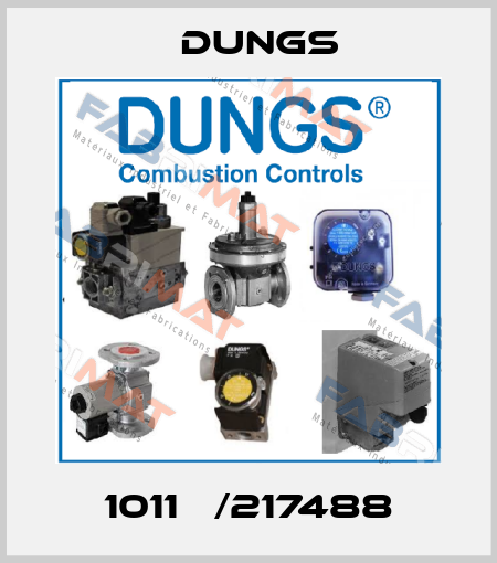 1011   /217488 Dungs