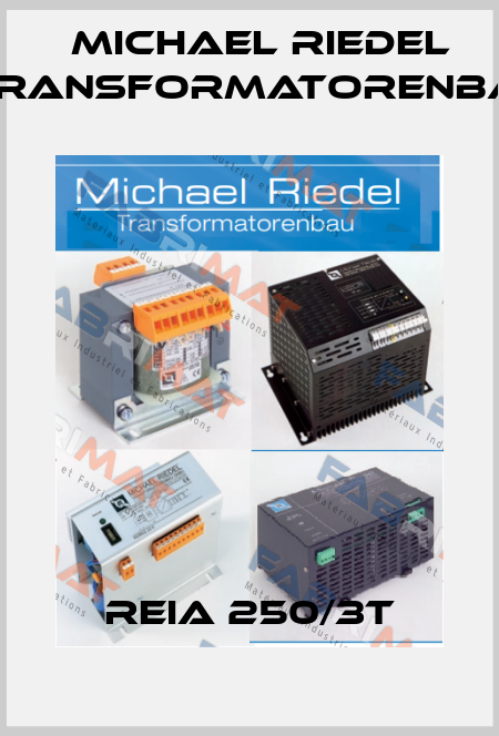 REIA 250/3T Michael Riedel Transformatorenbau