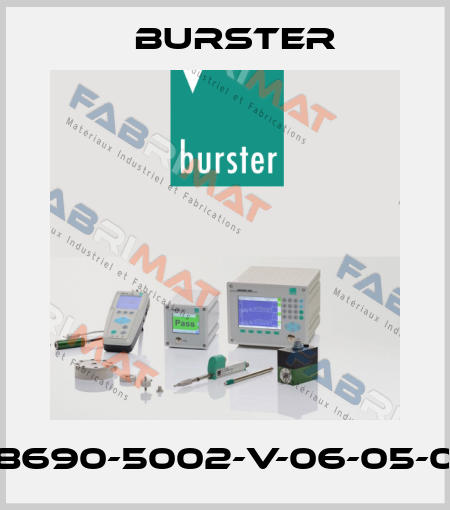 8690-5002-V-06-05-0 Burster