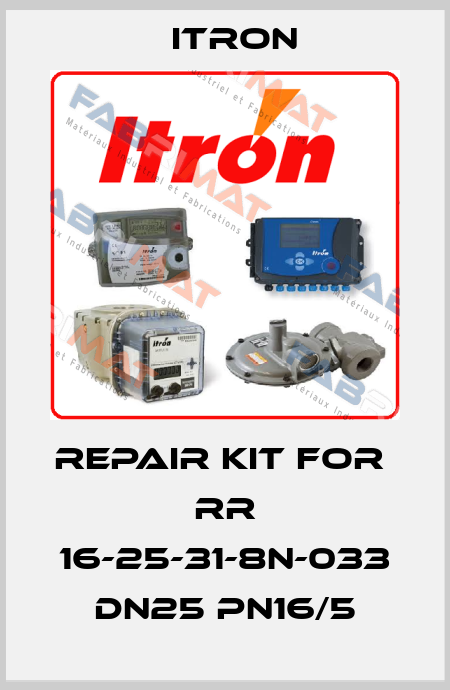 repair kit for  RR 16-25-31-8N-033 DN25 PN16/5 Itron