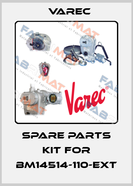 spare parts kit for BM14514-110-EXT Varec