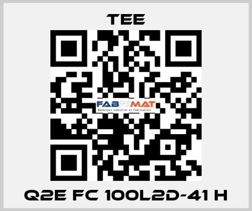Q2E FC 100L2D-41 H TEE