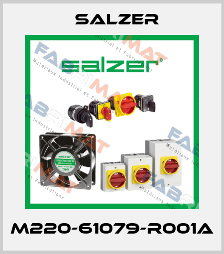 M220-61079-R001A Salzer