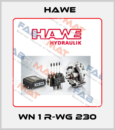 WN 1 R-WG 230 Hawe