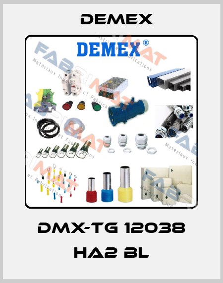 DMX-TG 12038 HA2 BL Demex