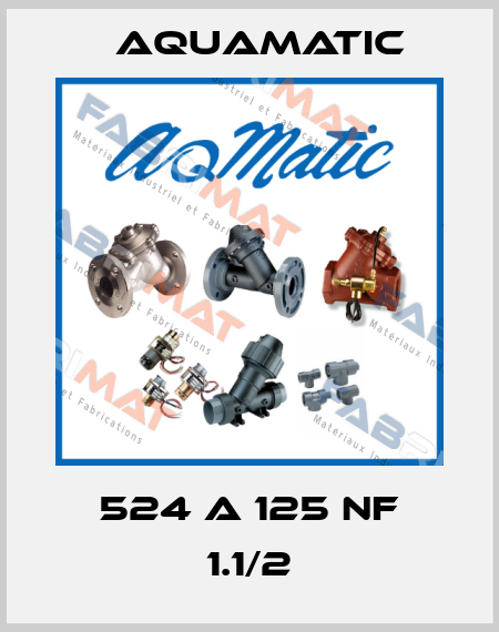 524 A 125 NF 1.1/2 AquaMatic
