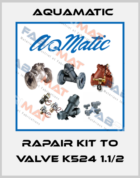 Rapair Kit to valve K524 1.1/2 AquaMatic