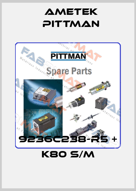 9236C238-R5 + K80 S/M Ametek Pittman