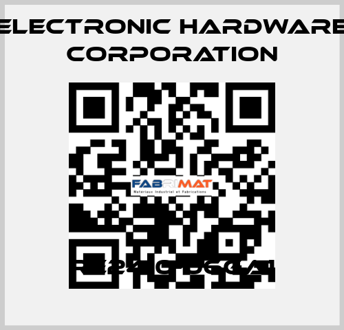 RE2410-06GA1 Electronic Hardware Corporation