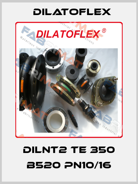 DILNT2 TE 350 B520 PN10/16 DILATOFLEX