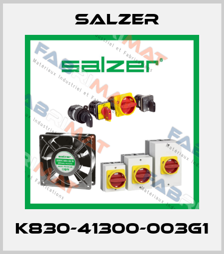 K830-41300-003G1 Salzer