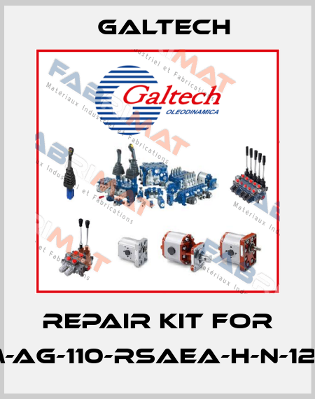 Repair kit for 2SM-AG-110-RSAEA-H-N-12-0-G Galtech