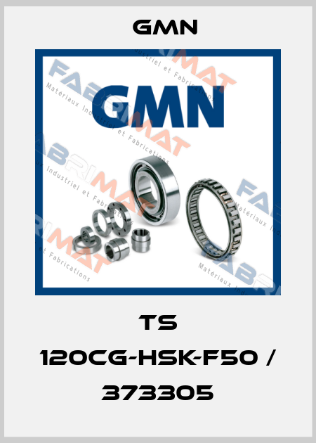 TS 120cg-HSK-F50 / 373305 Gmn