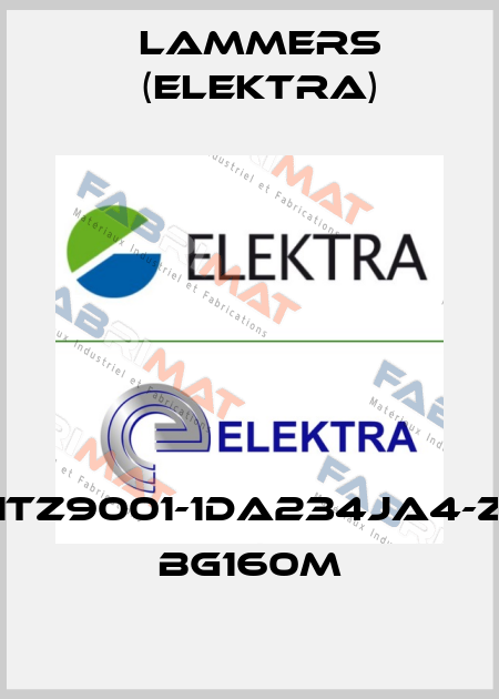1TZ9001-1DA234JA4-Z BG160M Lammers (Elektra)
