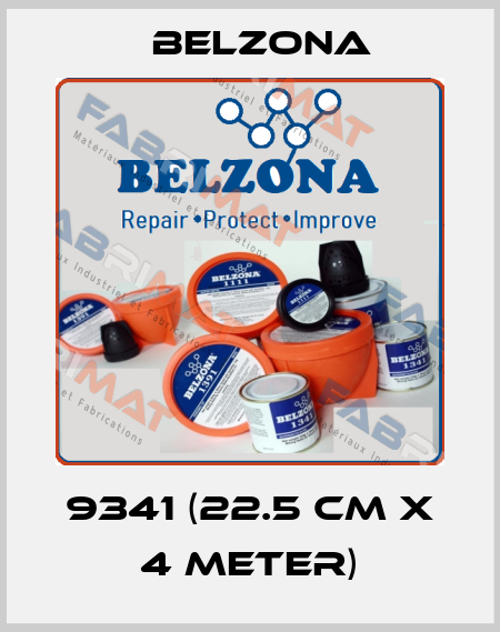 9341 (22.5 CM X 4 METER) Belzona