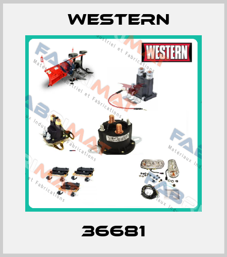 36681 Western