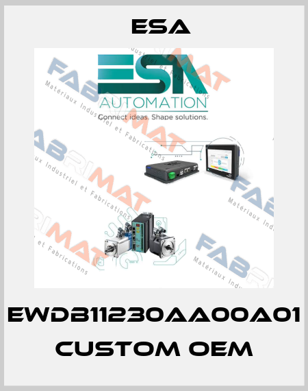 EWDB11230AA00A01 custom OEM Esa