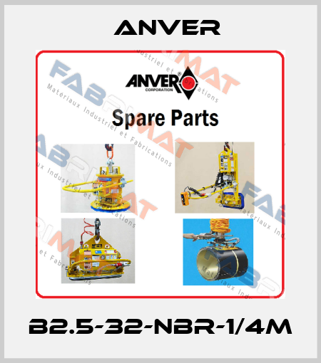 B2.5-32-NBR-1/4M Anver