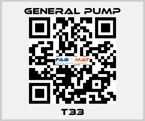 T33 General Pump