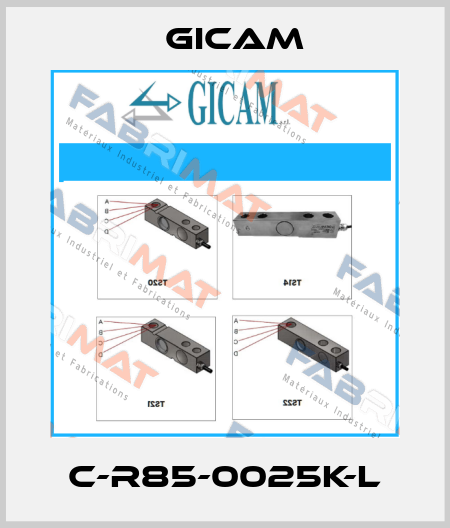 C-R85-0025K-L Gicam