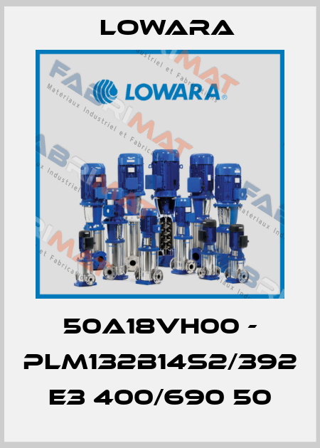 50A18VH00 - PLM132B14S2/392 E3 400/690 50 Lowara