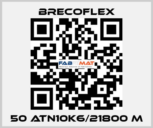 50 ATN10K6/21800 M Brecoflex