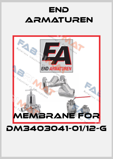 membrane for DM3403041-01/12-G End Armaturen