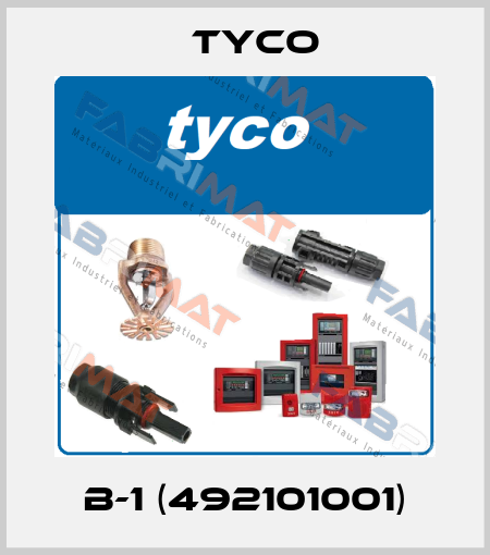 B-1 (492101001) TYCO