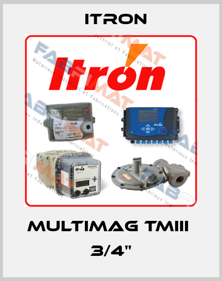 Multimag TMIII  3/4" Itron
