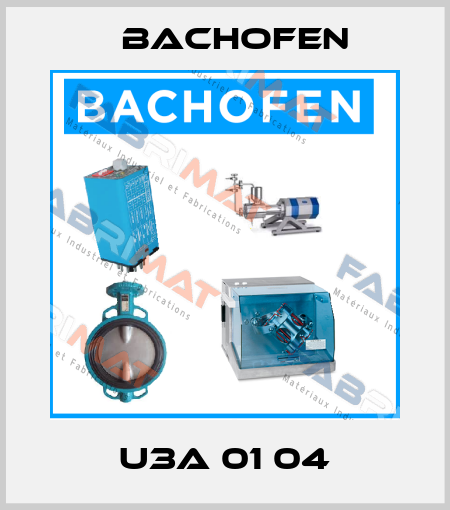 U3A 01 04 Bachofen