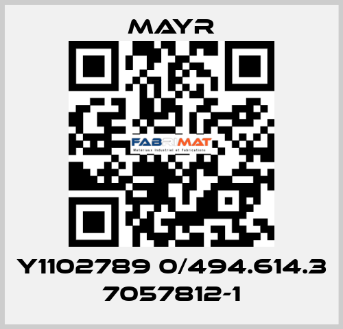 Y1102789 0/494.614.3 7057812-1 Mayr
