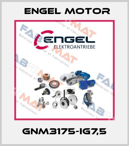 GNM3175-IG7,5 Engel Motor