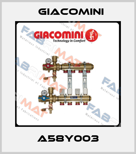A58Y003 Giacomini
