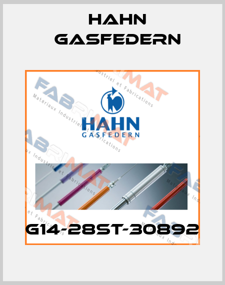 G14-28ST-30892 Hahn Gasfedern