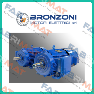 NO: 142208 Bronzoni