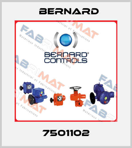 7501102 Bernard