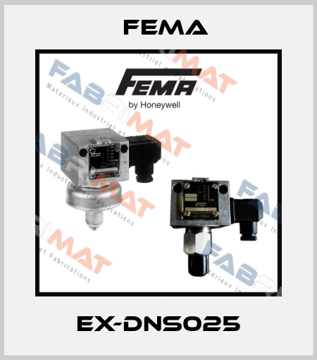 EX-DNS025 FEMA