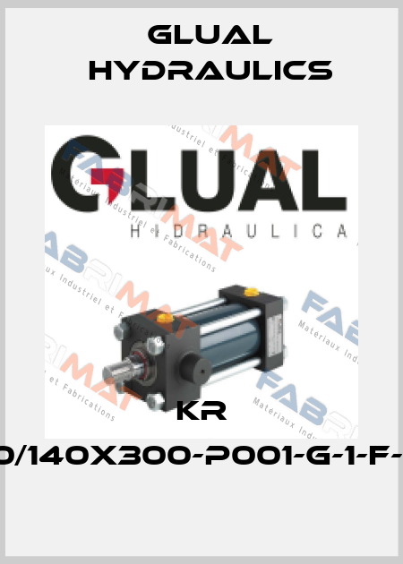KR 200/140x300-P001-G-1-F-1-10 Glual Hydraulics