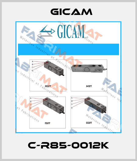 C-R85-0012K Gicam