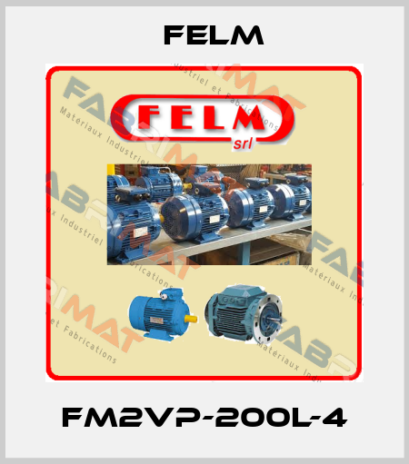 FM2VP-200L-4 Felm