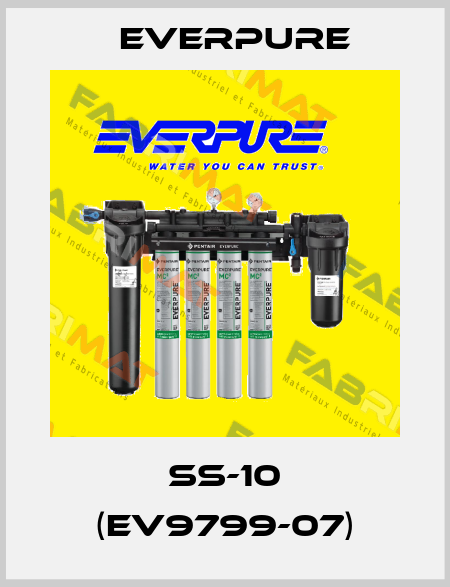 SS-10 (EV9799-07) Everpure