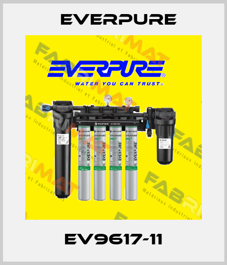 EV9617-11 Everpure