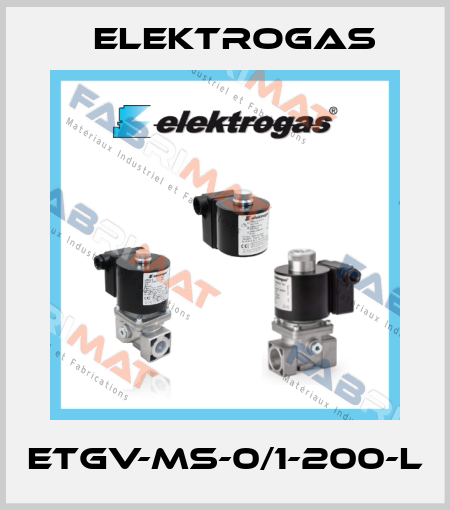 ETGV-MS-0/1-200-L Elektrogas