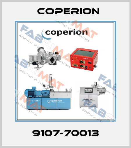 9107-70013 Coperion