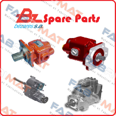 081903 MAN D20 Bezares