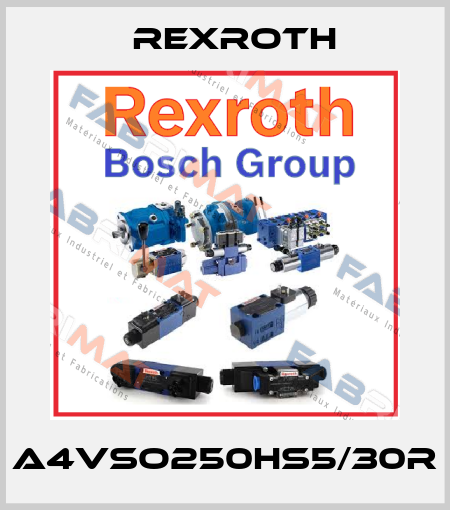 A4VSO250HS5/30R Rexroth