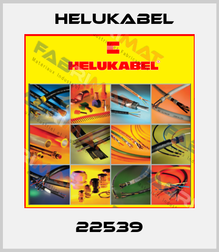 22539 Helukabel
